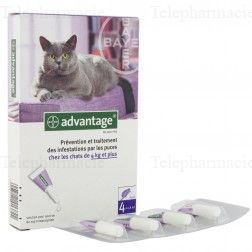 Advantage solution pour spot-on chat 4 kg et plus