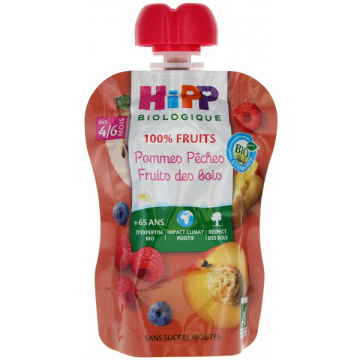 HIPP - 100% Fruits Gourde Pommes Pêches Fruits des Bois dès 4/6 Mois Bio 90 g